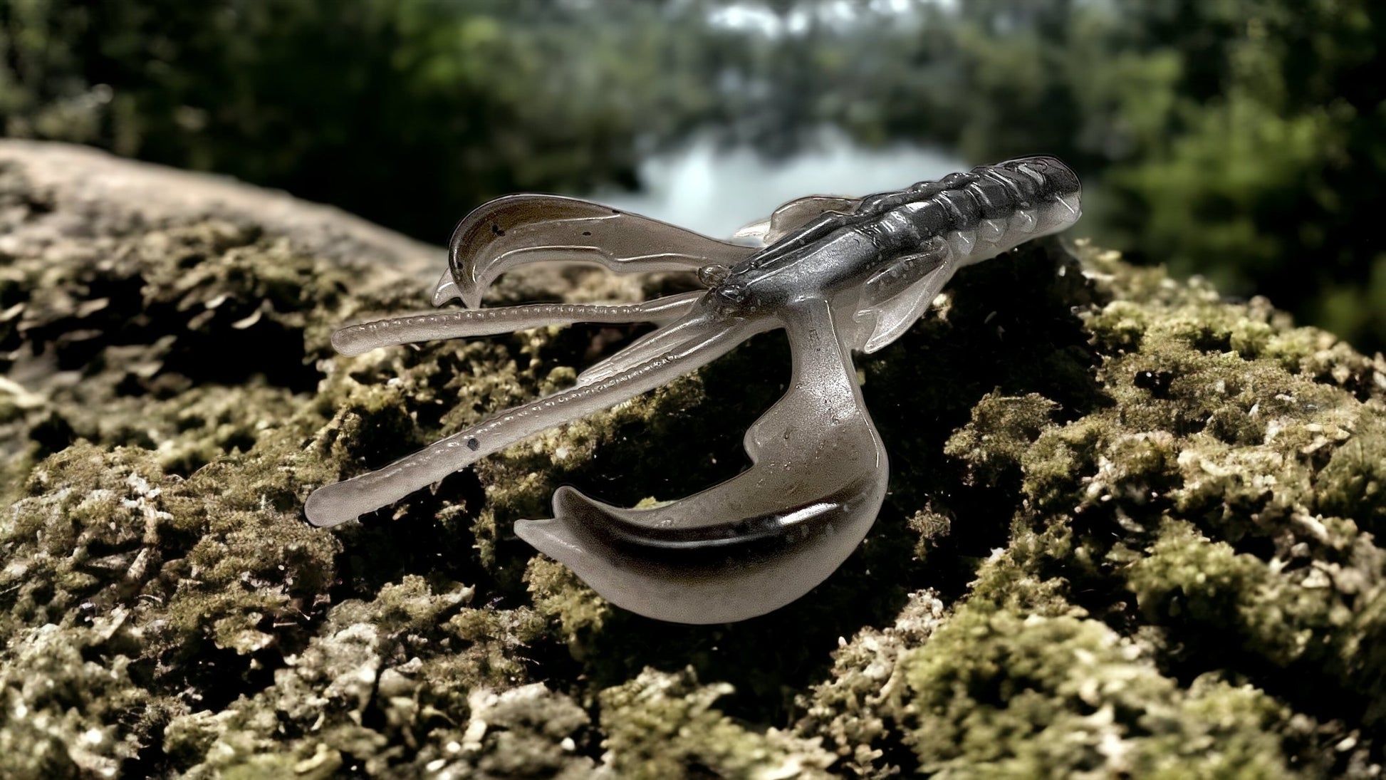 Chīsai Craw - Ancient Hunter USA