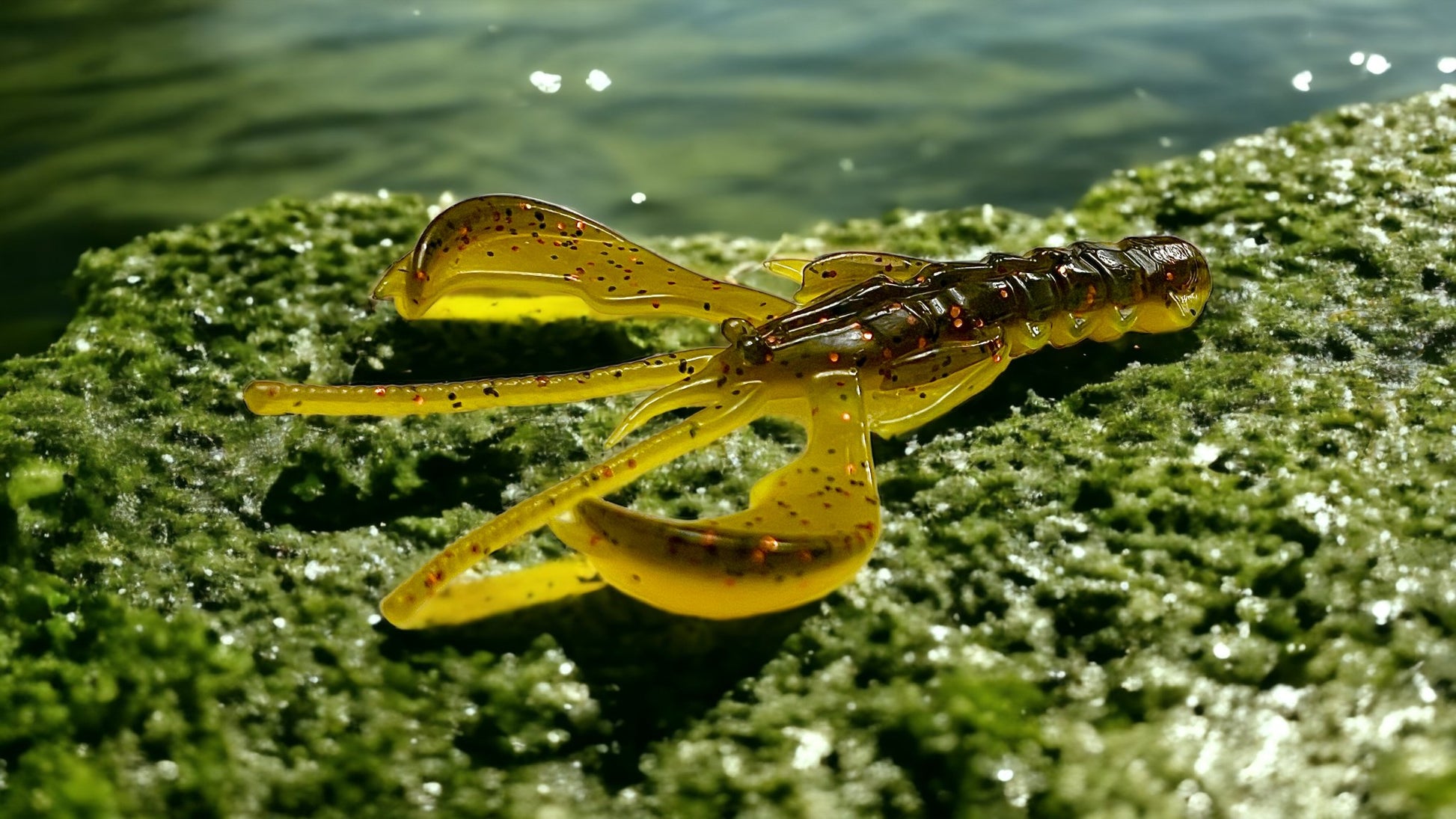 Chīsai Craw - Ancient Hunter USA