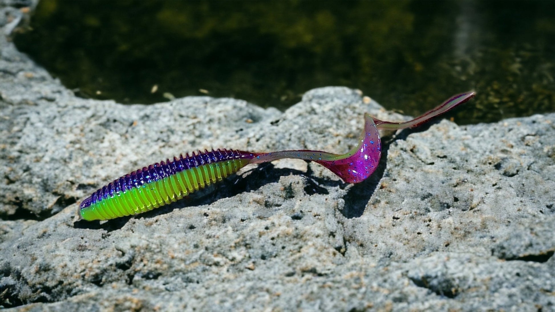 The Hybrid 2.0 - Ancient Hunter USA