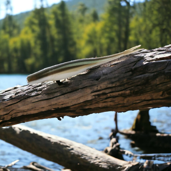 TPR Jerk Shad - Ancient Hunter USA